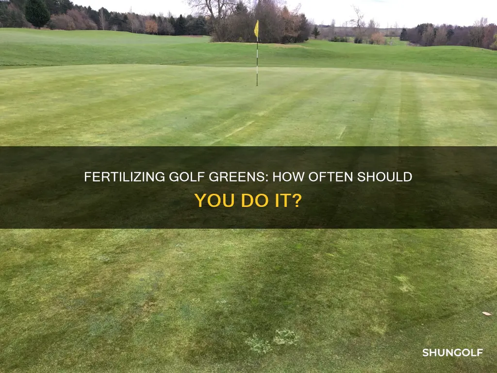 how often to fertilize golf greens