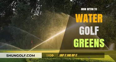 Watering Golf Greens: How Often and Why It Matters