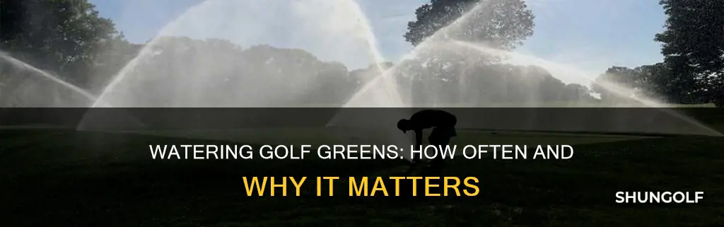 how often to water golf greens