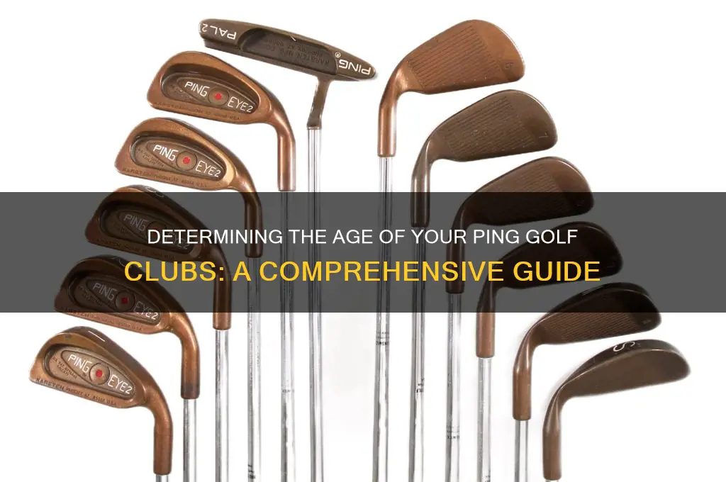 how old are my ping golf clubs
