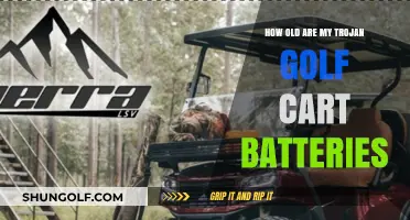 Determining the Age of Your Trojan Golf Cart Batteries: A Guide