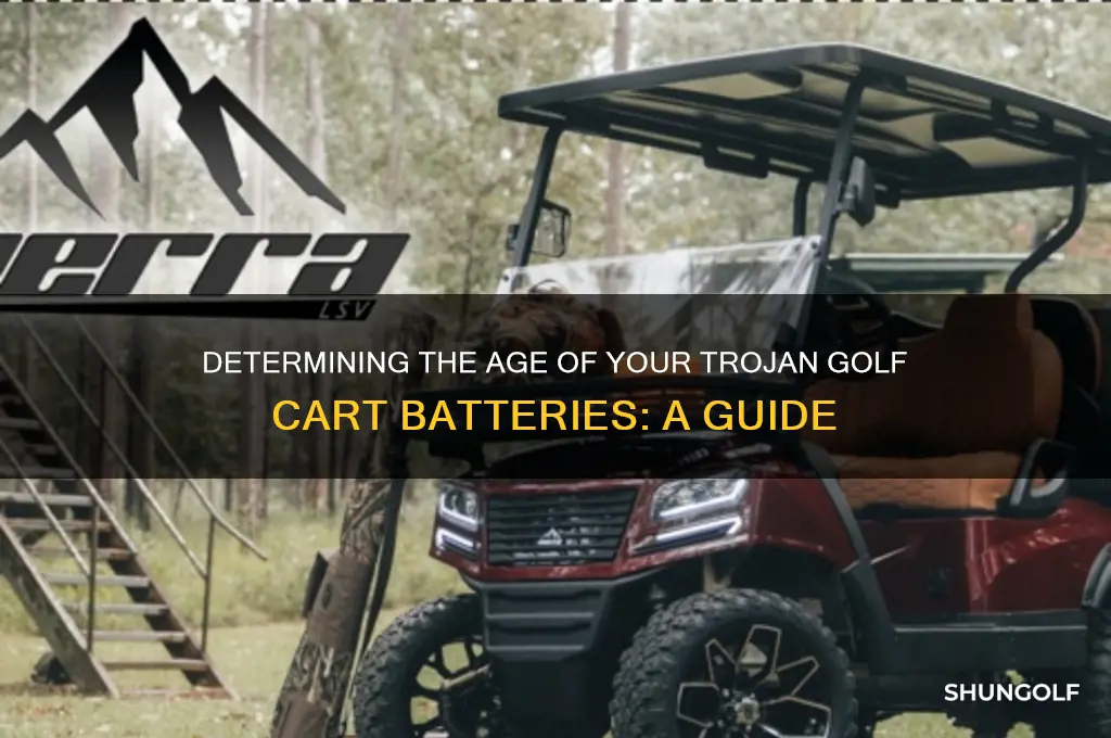 how old are my trojan golf cart batteries