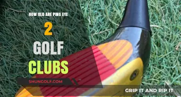 Unveiling the Age of Ping Eye 2 Golf Clubs: A Guide