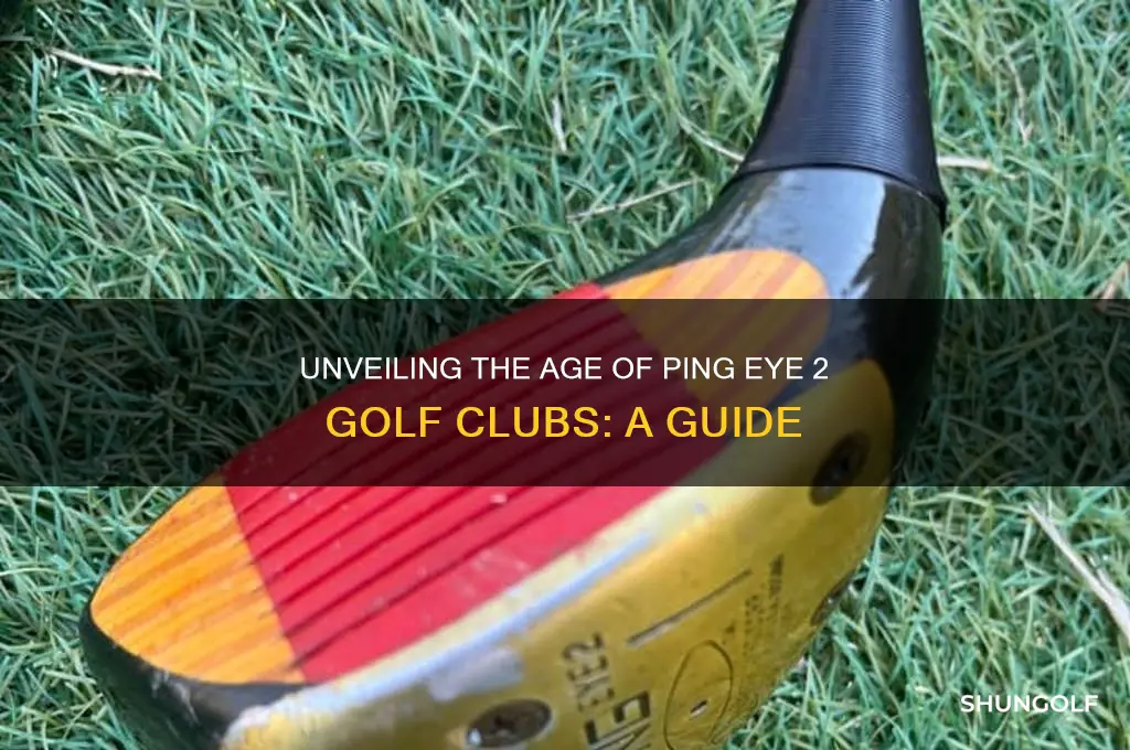 how old are ping eye 2 golf clubs