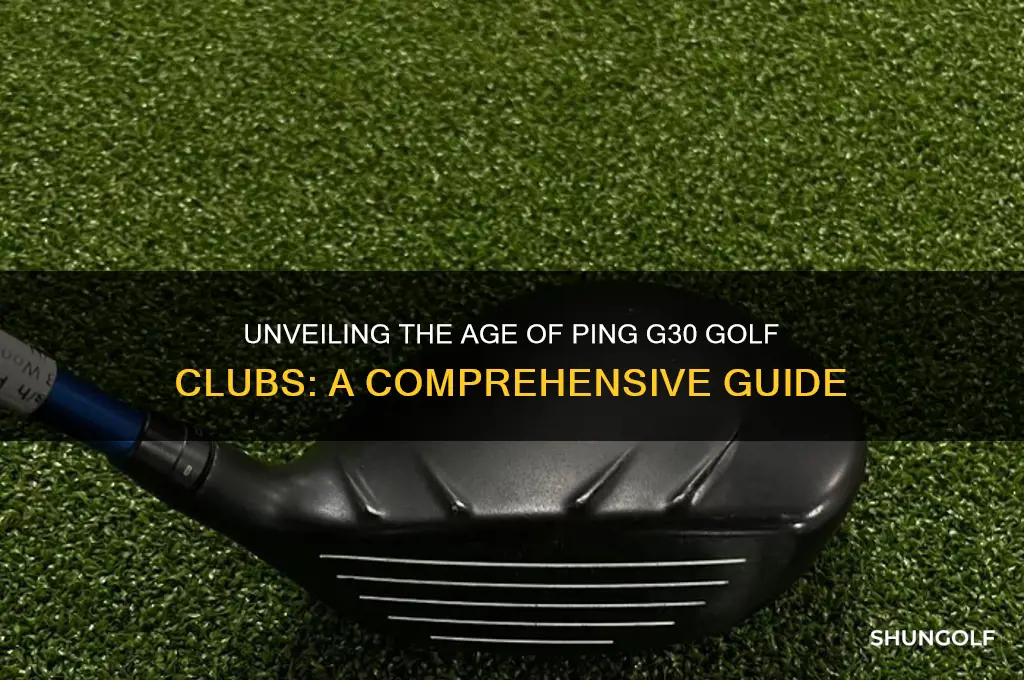 how old are ping g30 golf clubs
