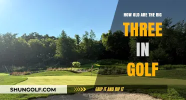Exploring the Ages of Golf's Legendary Big Three Players
