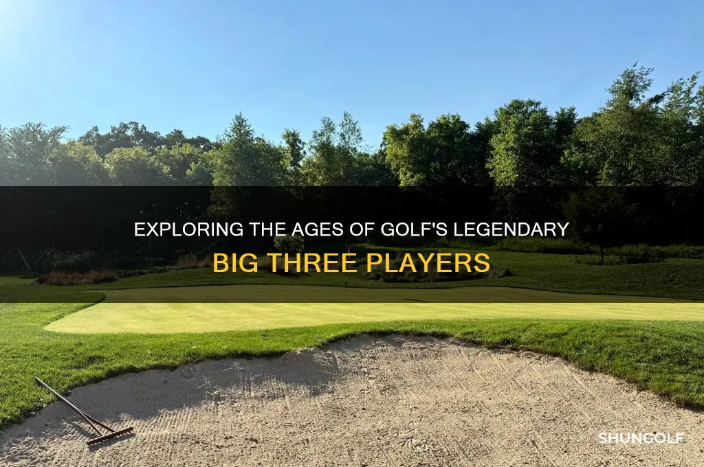 how old are the big three in golf