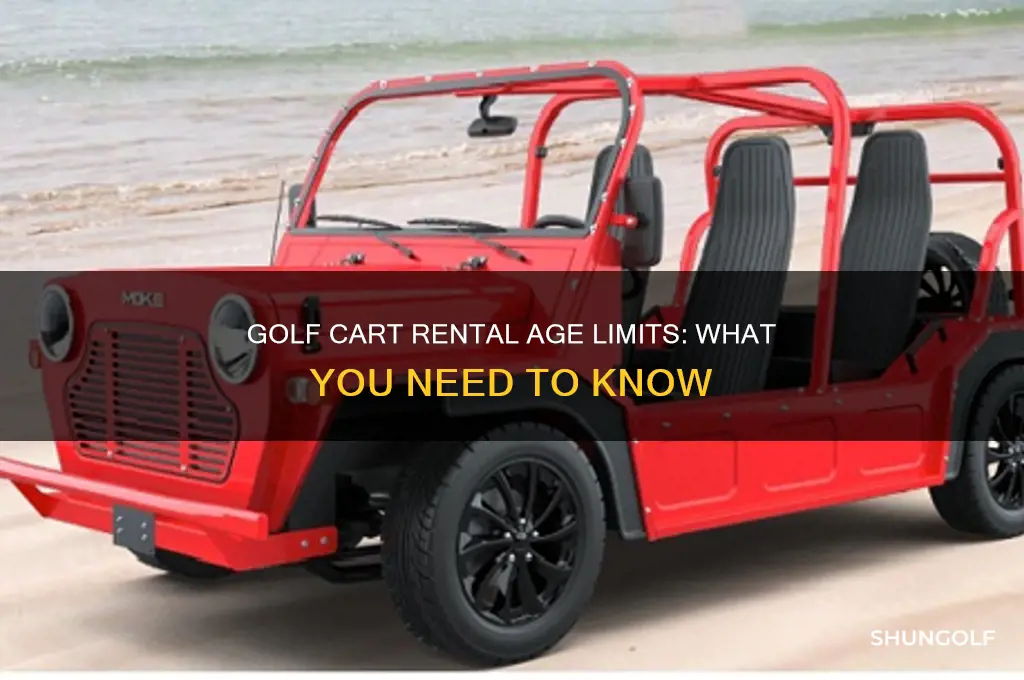 how old can you be to rent a golf cart