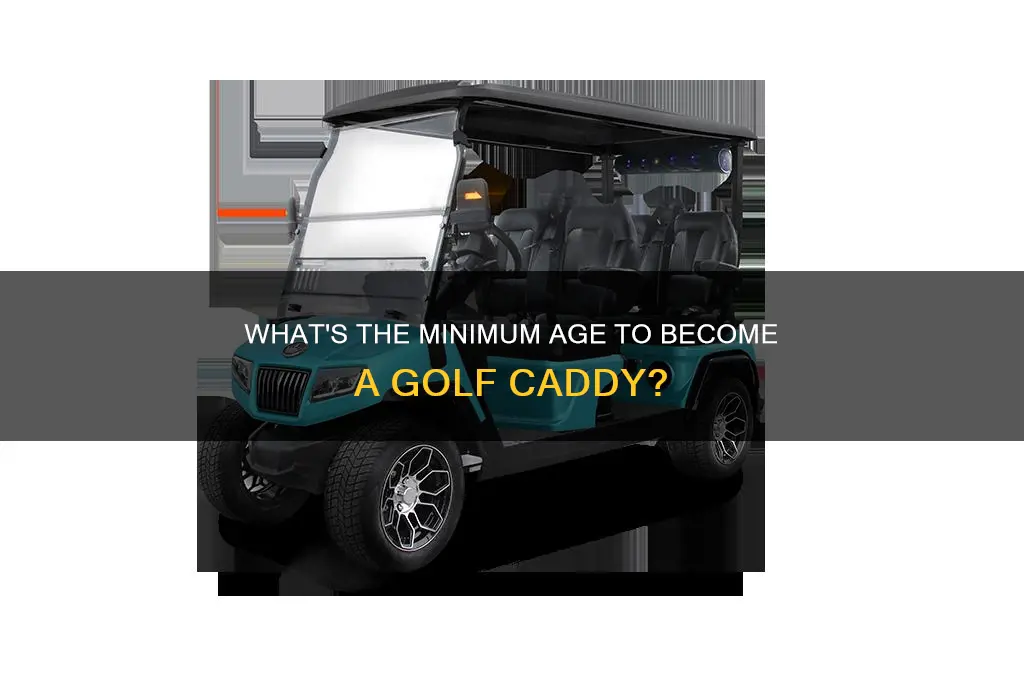 how old do you have to be a golf caddy