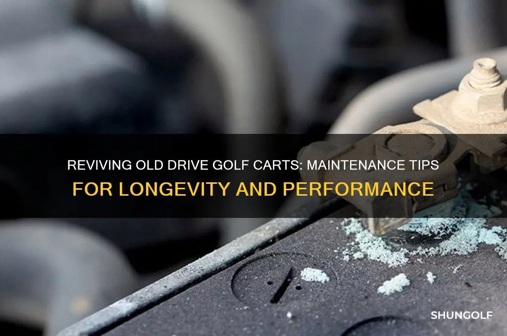 how old drive golf cart