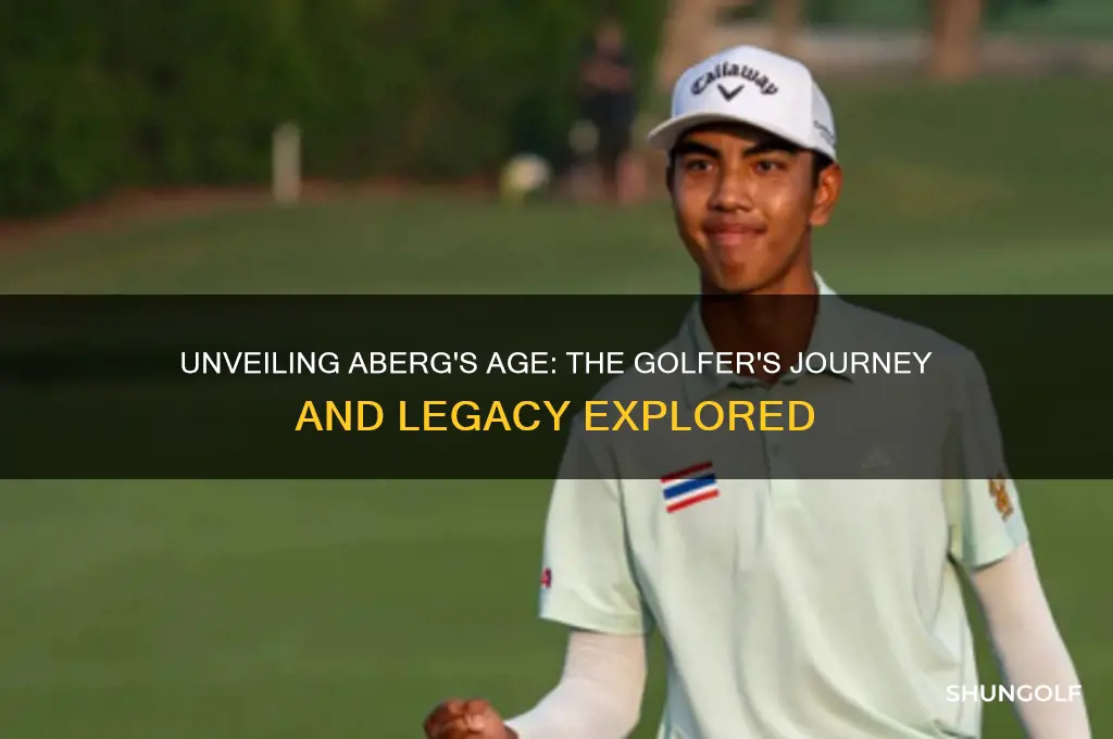 how old is aberg the golfer