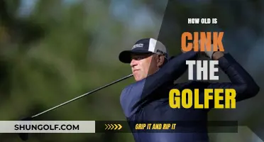 Stewart Cink's Age: Unveiling the Golfer's Journey and Legacy