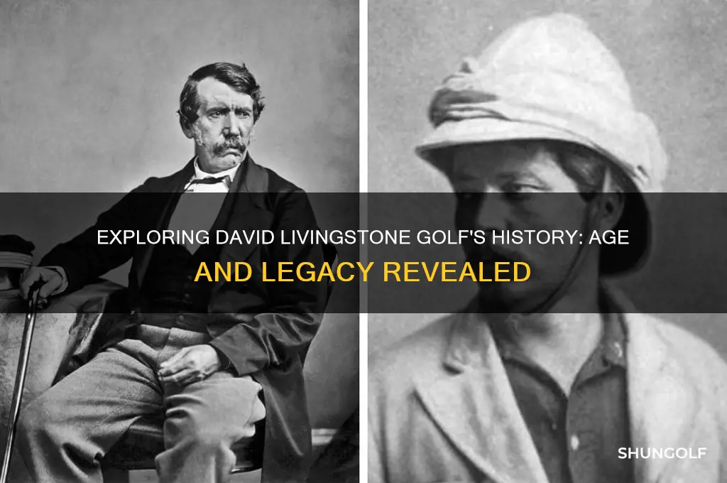 how old is david livingstone golf