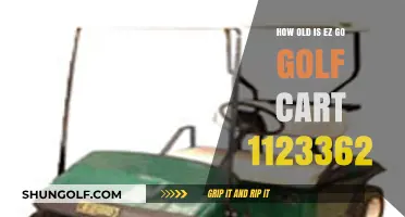 Discovering the Age of Your EZ Go Golf Cart 1123362