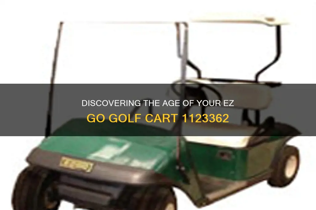 how old is ez go golf cart 1123362