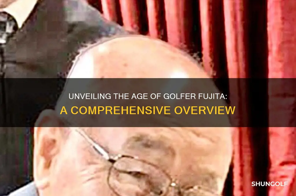 how old is fujita golfer