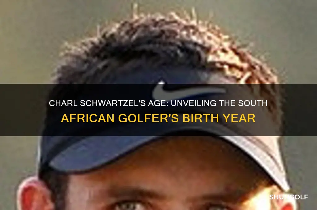 how old is golfer charl schwartzel