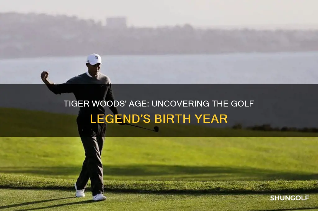 how old is golfer tiger woods