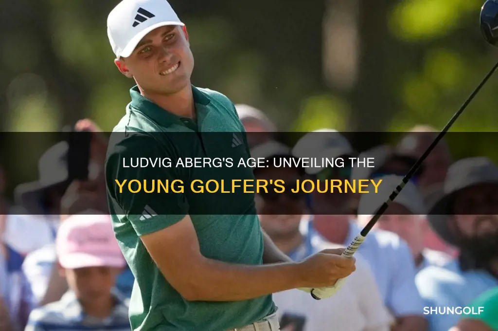 how old is ludvig aberg golfer