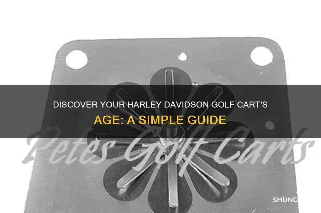 how old is my harley davidson golf cart