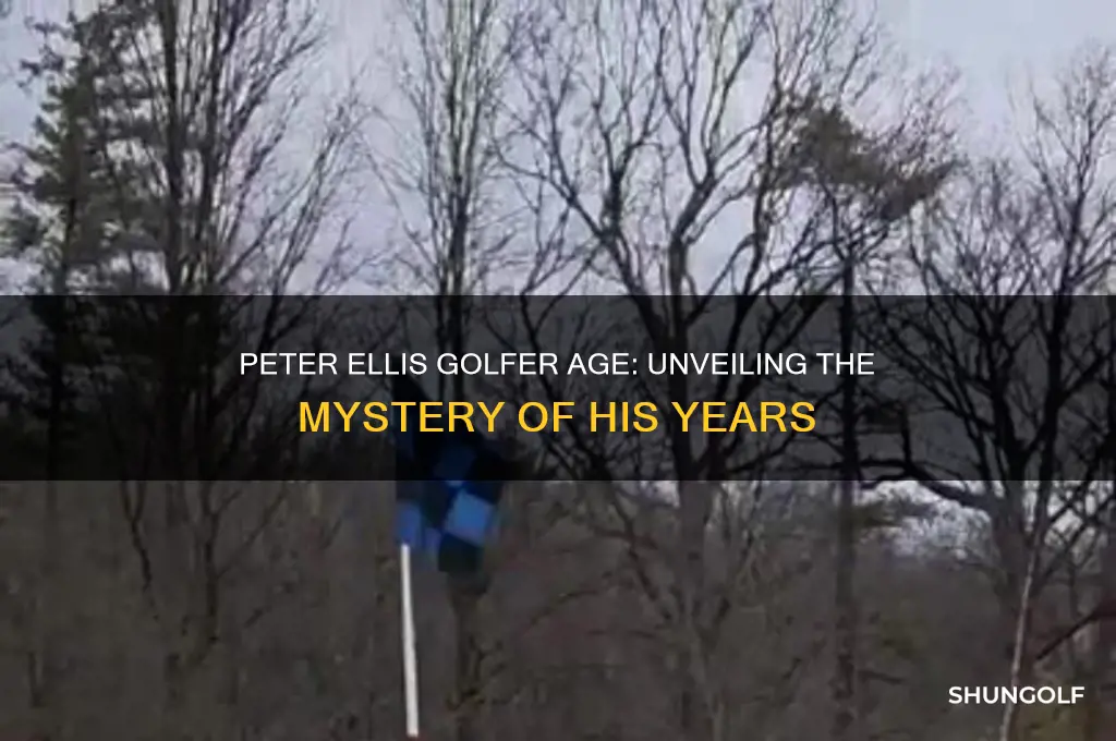 how old is peter ellis golfer