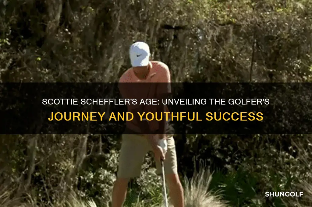 how old is scheffler the golfer