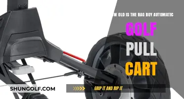 Discovering the Age of the Bag Boy Automatic Golf Pull Cart