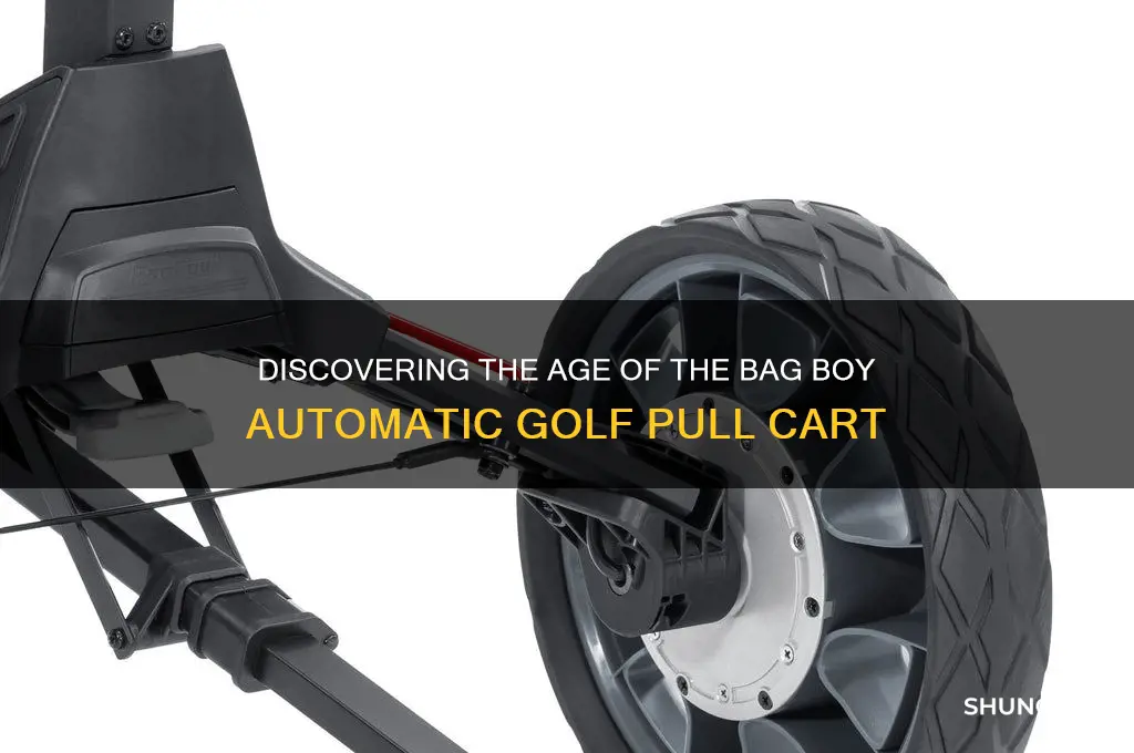 how old is the bag boy automatic golf pull cart