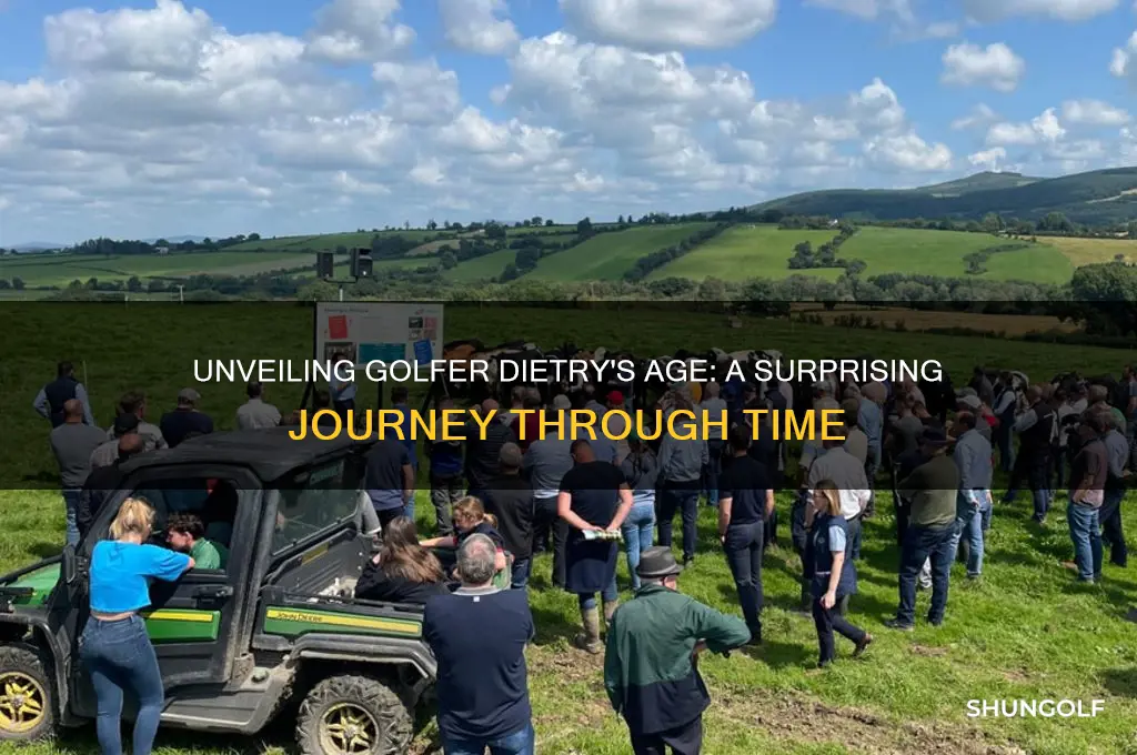 how old is the golfer dietry