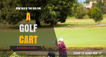 Is Your Golf Cart Past Its Prime? Age Limits Explained