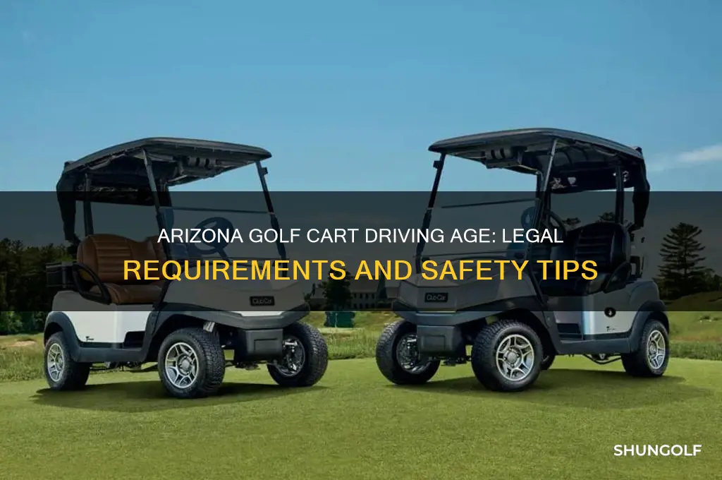 how old to drive a golf cart in arizona
