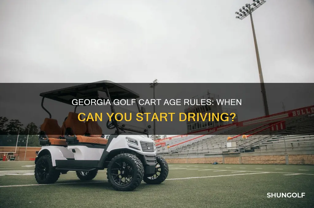 how old to drive a golf cart in georgia