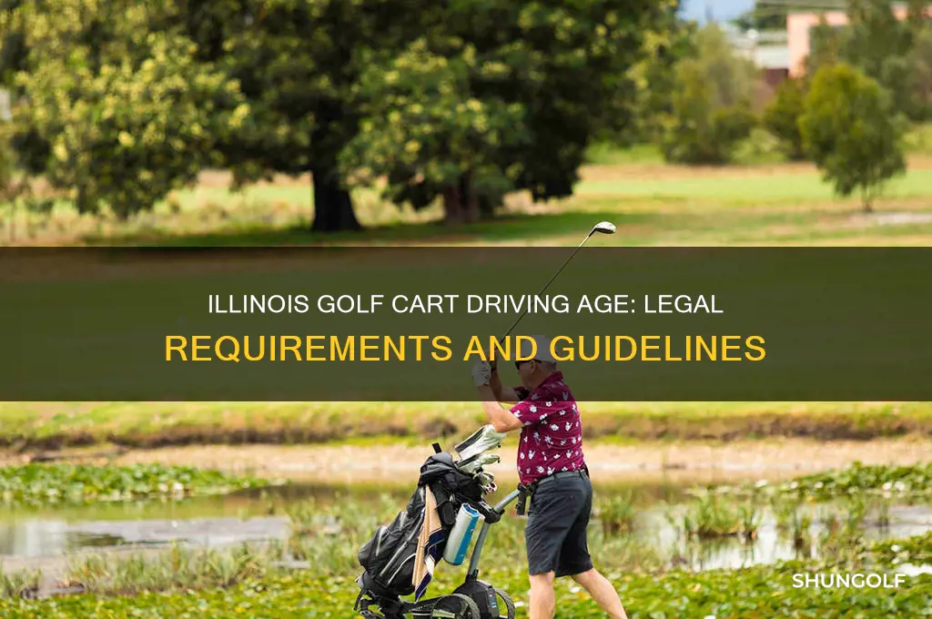 how old to drive a golf cart in illinois