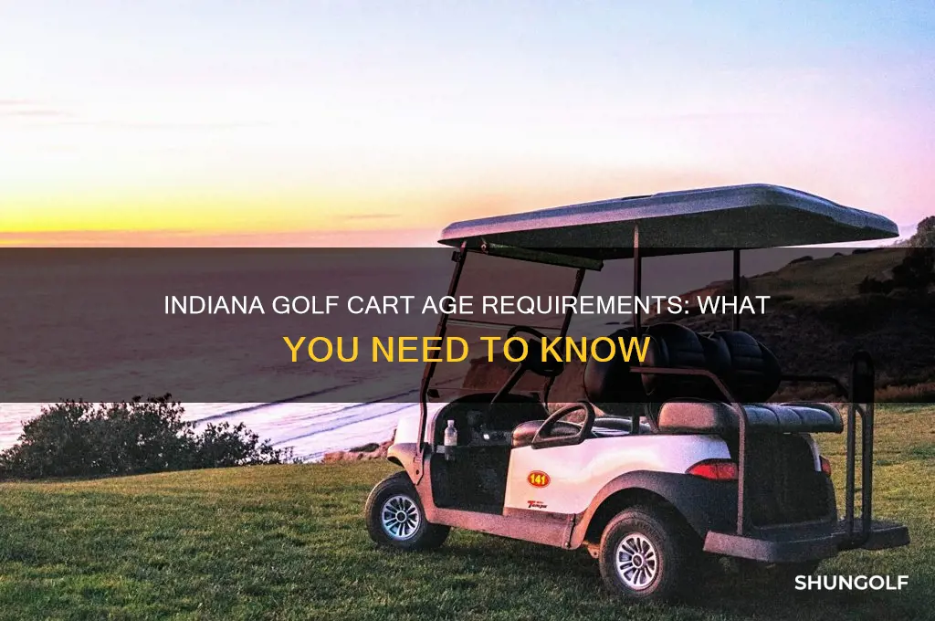 how old to drive a golf cart in indiana