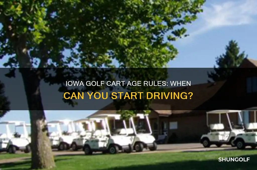 how old to drive a golf cart in iowa