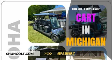 Michigan Golf Cart Age Rules: When Can You Start Driving?