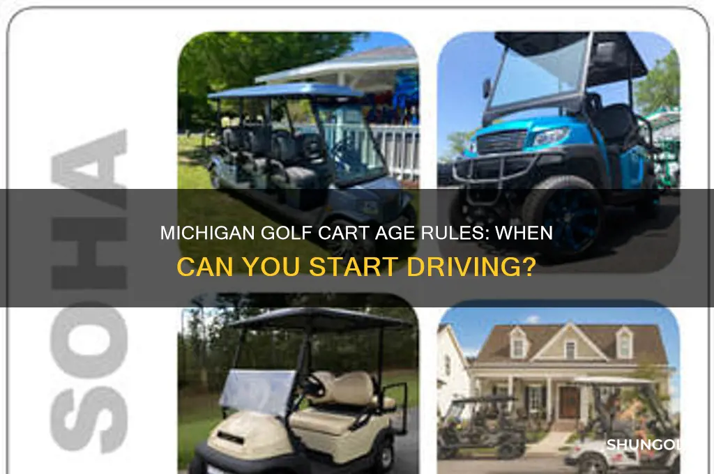 how old to drive a golf cart in michigan
