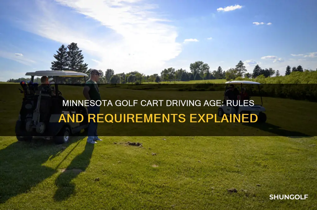 how old to drive a golf cart in minnesota