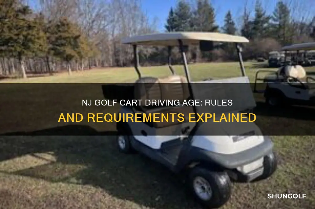 how old to drive a golf cart in nj
