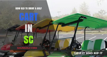 Legal Age for Driving Golf Carts in South Carolina: What You Need to Know