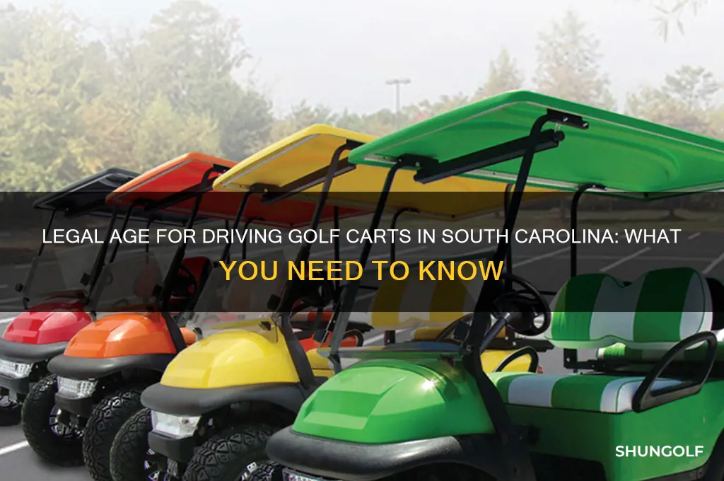how old to drive a golf cart in sc