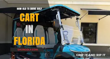 Florida Golf Cart Age Rules: When Can You Start Driving?