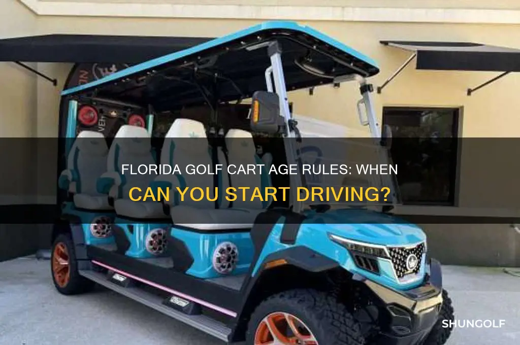 how old to drive golf cart in florida