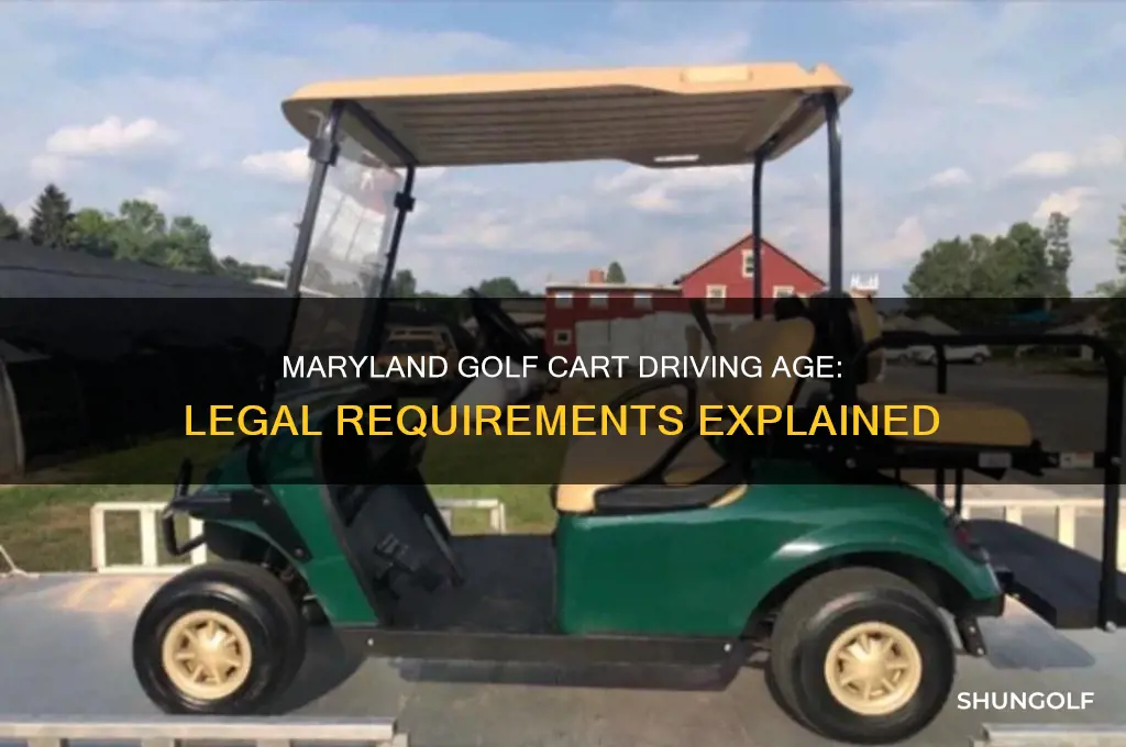 how old to drive golf cart in maryland