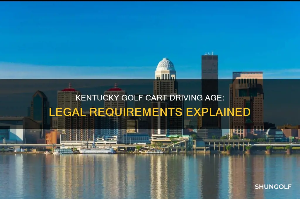 how old to drive golf cart ky