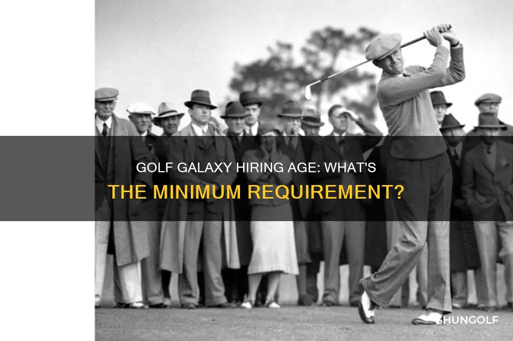 how old to work at golf galaxy