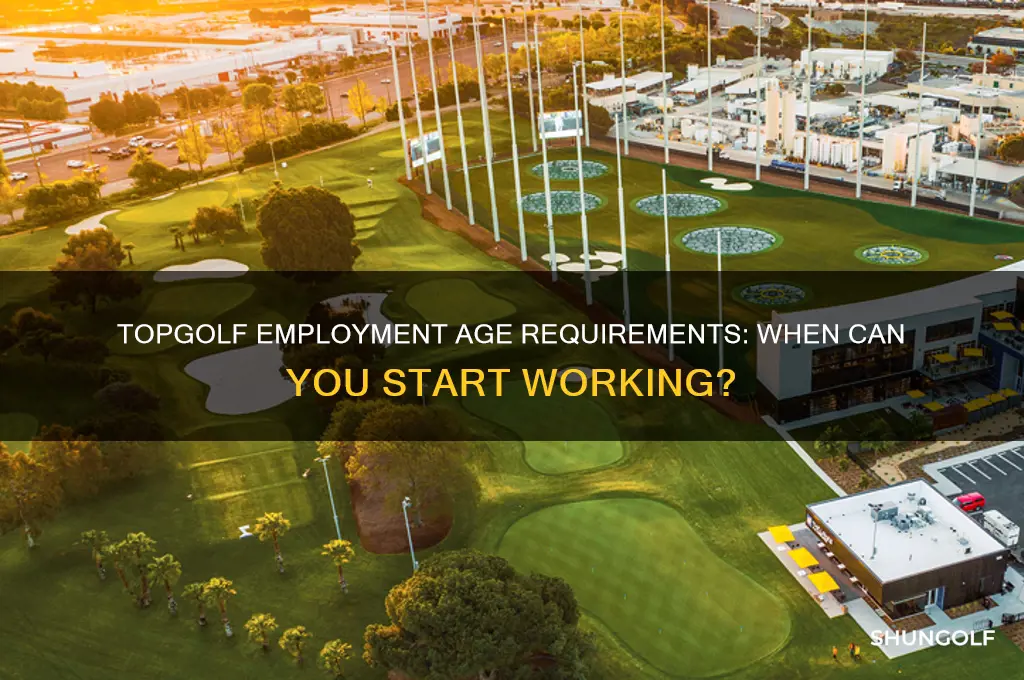 how old to work at top golf