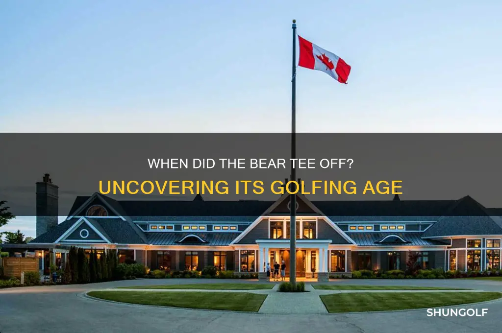 how old was the bear start golfing