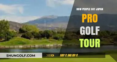 Unlocking Success: How Golfers Qualified for Japan Pro Golf Tour