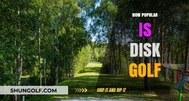 Disk Golf: A Rising Sport Sensation